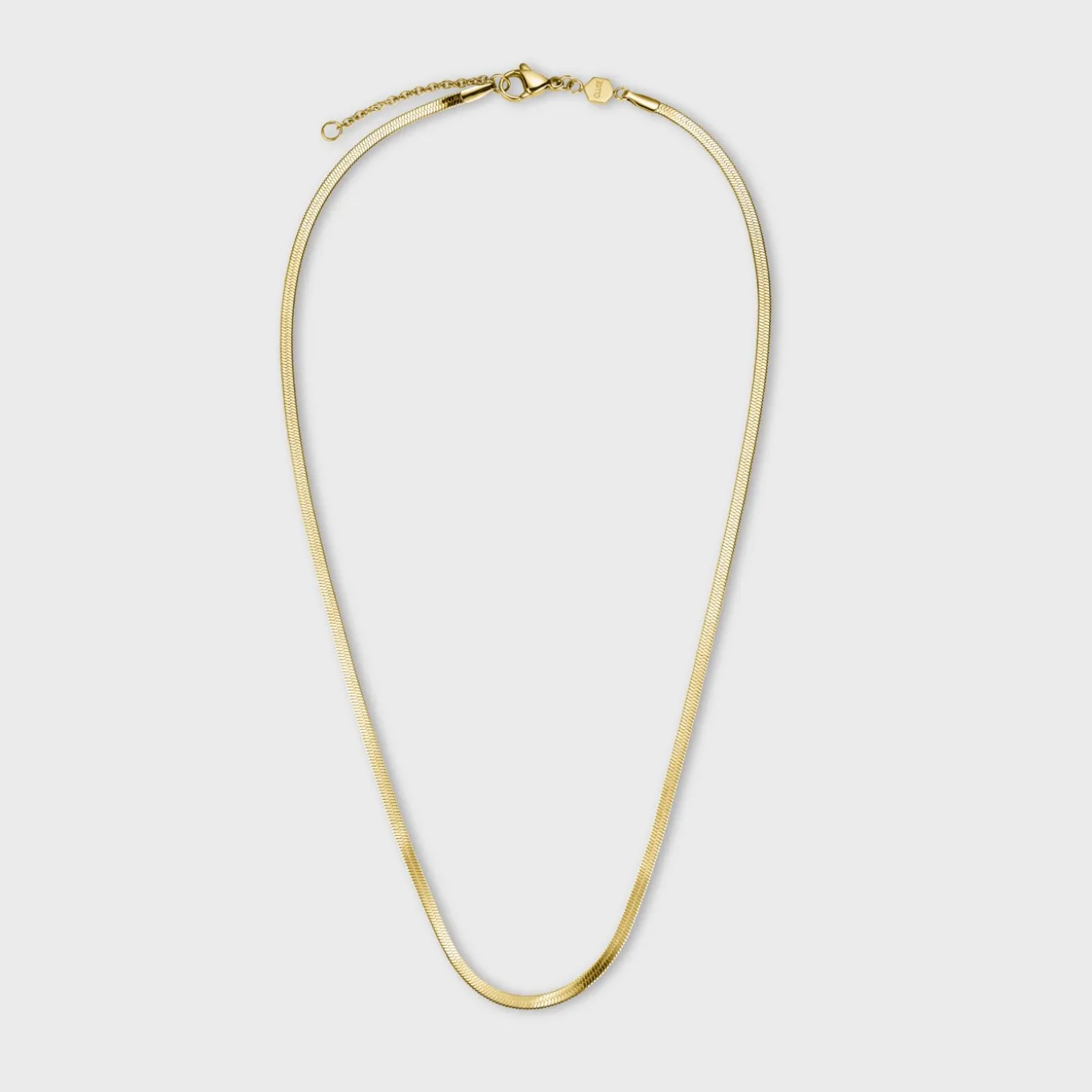 Clearance Gift Box Essentielle Snake and Flat Curb Necklaces, Gold Colour Ketten
